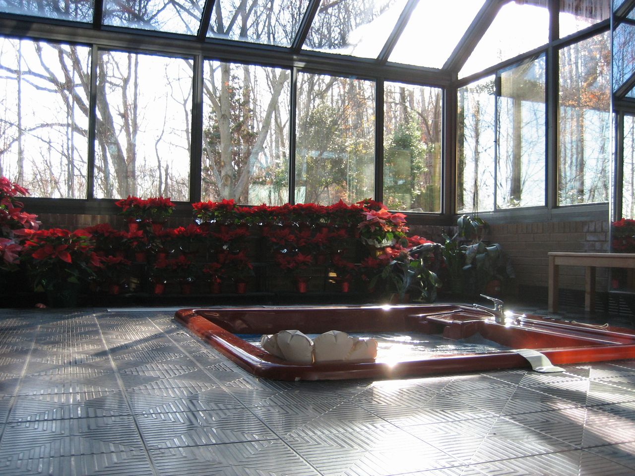 Image Alt Text